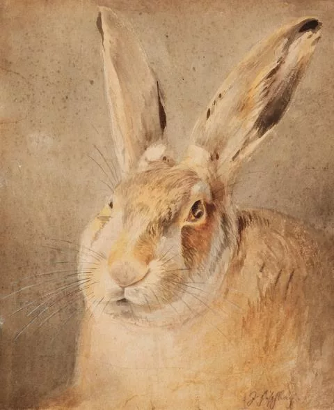 Johann Fischbach — Hase
