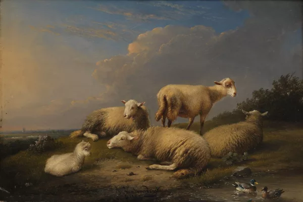 François Van Severdonck — Troupeau de moutons