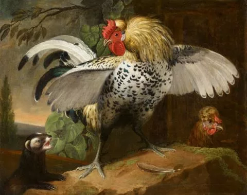 Jakob Samuel Beck — Kampf zwischen einem Hahn und einem Iltis