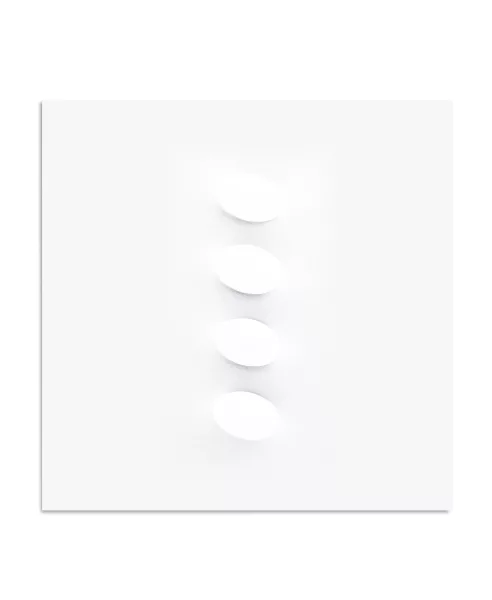Turi Simeti — 4 ovales blancs, 2002