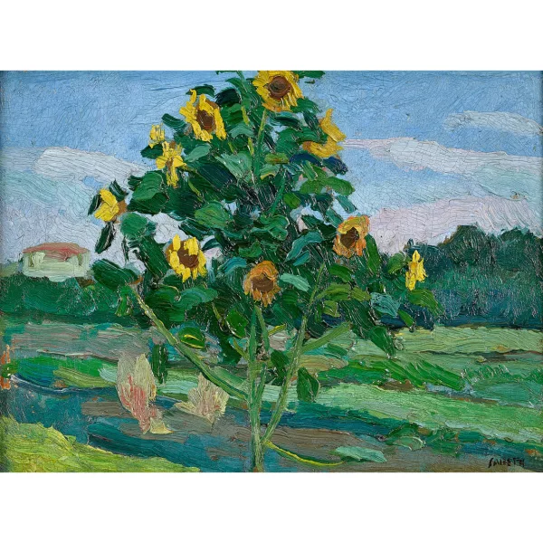 Alberto Salietti — Girasoli