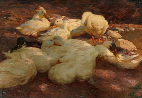 Alexander Koester — Ruhende Enten am Ufer
