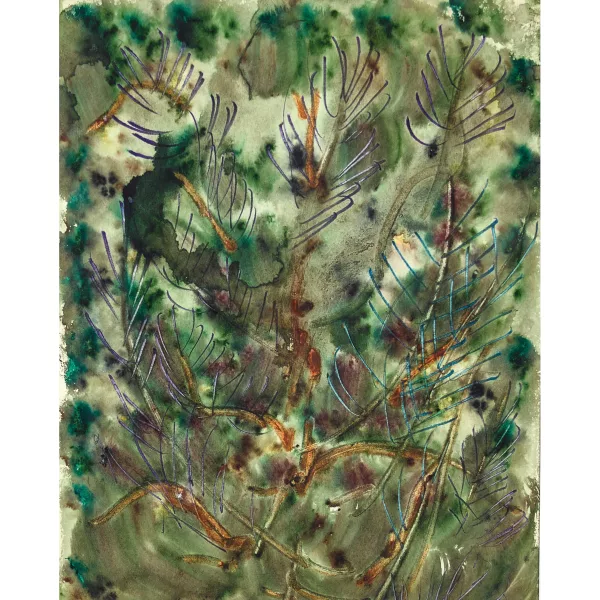 Anatoly Zverev — Composition expressive avec conifère
