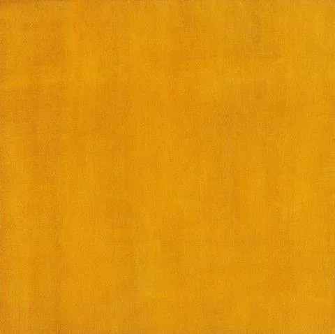 Marcia Hafif — Indian Yellow