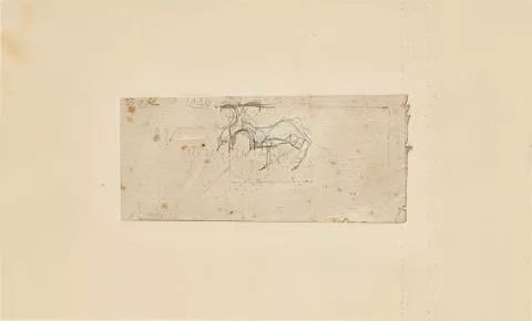 Joseph Beuys — Ziege