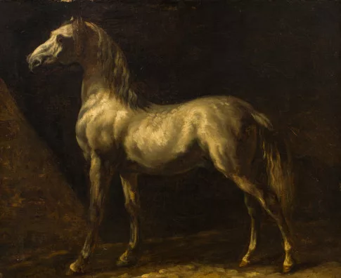 Théodore Géricault — Cheval arabe gris-blanc