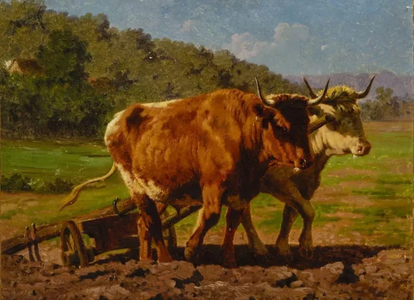 Rosa Bonheur — Attribué à Rosa Bonheur — Vaches labourant