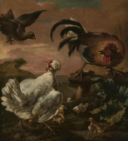 Pieter Casteels III — Nachfolger des 18