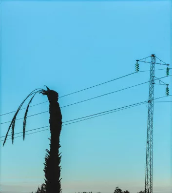 Glen Rubsamen — "A Convergent Mesh of Failures", 2006
