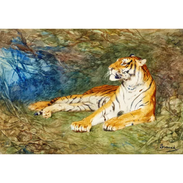 Gustave P. A. Surand — Liegender Tiger.