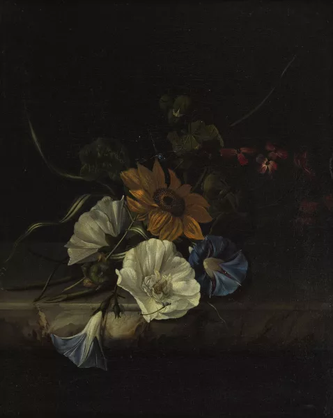 Rachel Ruysch — Jeté de fleurs sur entablement