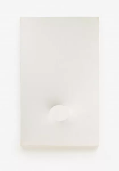 Turi Simeti — Un ovale blanc