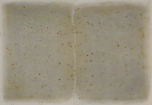 Michelle Stuart — 3 Zeichnungen: Pagosa Springs/Colorado, 1977; Fort Hill Ledger - Ohio, 1977; Tikal: Stela 20, 1978