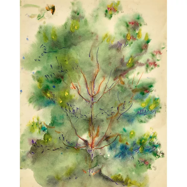Anatoly Zverev — Arbre