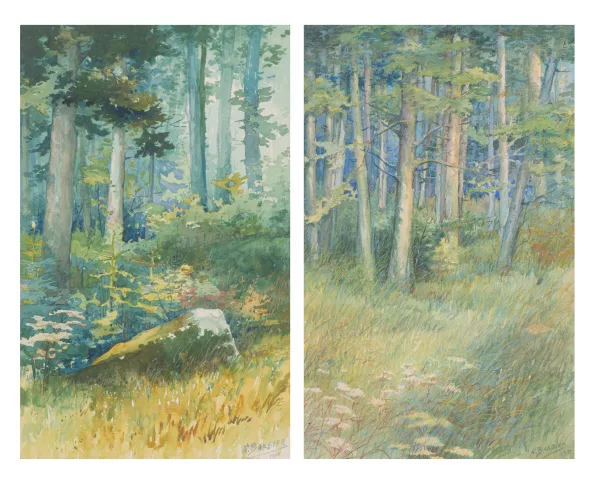 Andre Barbier — Sous bois