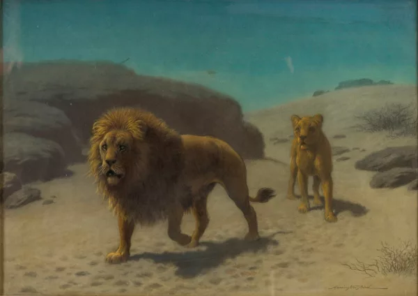 Harrington Bird — Lion et Lionne dans le désert,