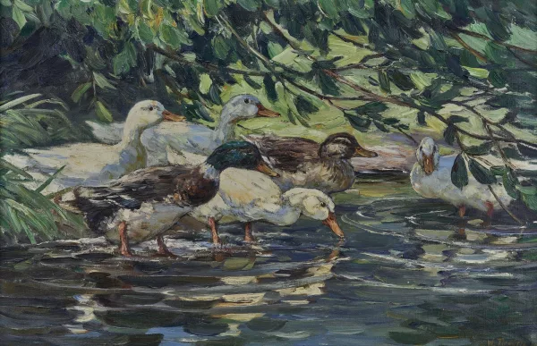 Willy Tiedjen — Canards
