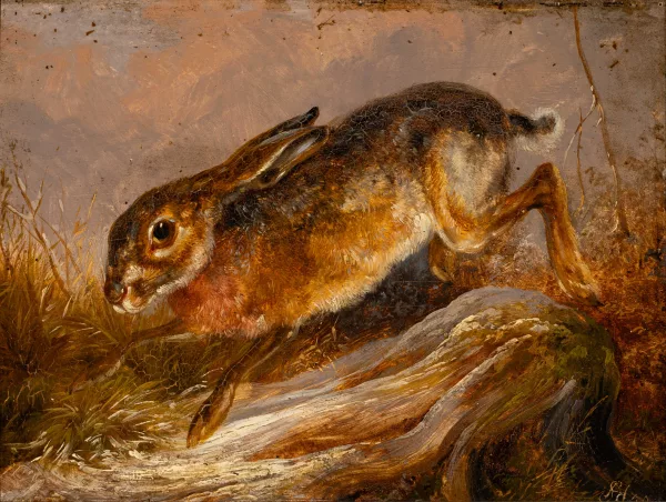 August Schleich — Lièvre