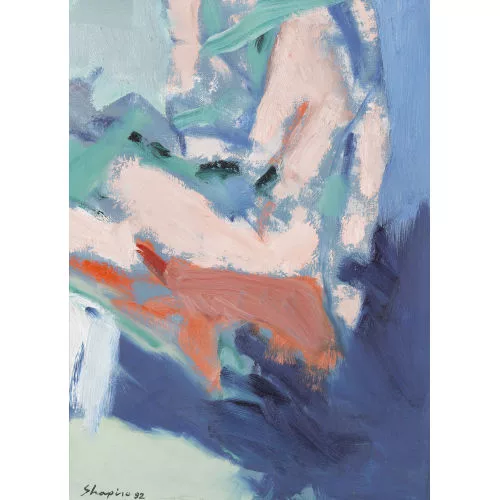 Shmuel Shapiro — Composition colorée