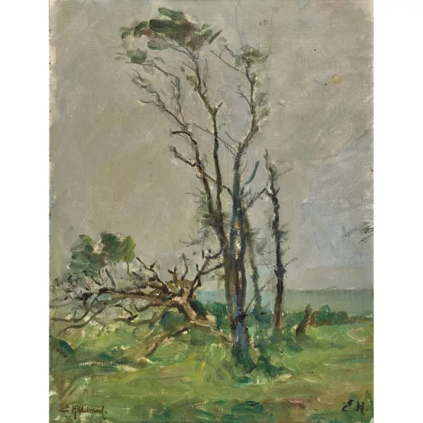 Emil Hildebrand — Bäume in weiter Landschaft.