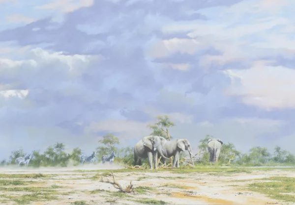 Kim Donaldson — Kim DONALDSON (1952), 'Zèbres et éléphants'