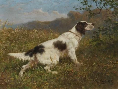 Heinrich Sperling — Münsterländer Jagdhund