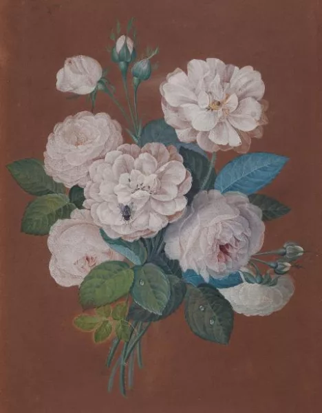 Pierre-Joseph Redouté — Rosenbouquet mit Insekten