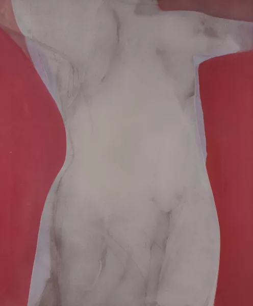 Władysław Jackiewicz — Corpo IX/81
