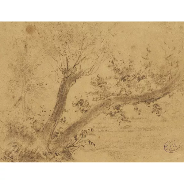 Jean-Baptiste Camille Corot — JEAN-BAPTISTE CAMILLE COROT zugeschrieben — Baumstudie.