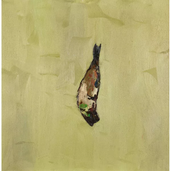 Denis Laget — Sans titre