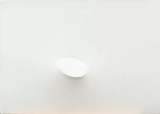 Turi Simeti — Un ovale bianco, 1971
