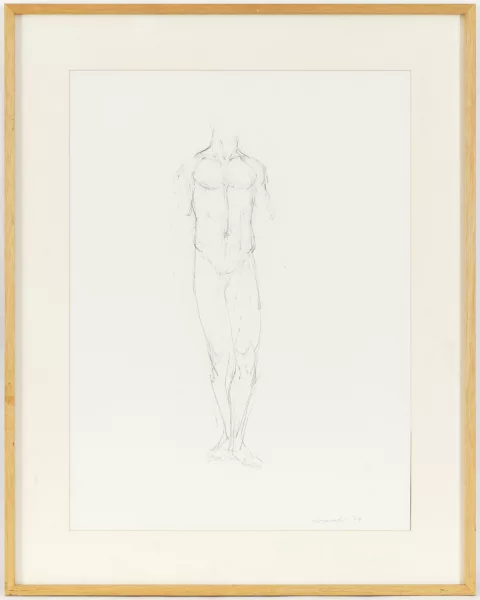Joannis Avramidis — Nu masculin