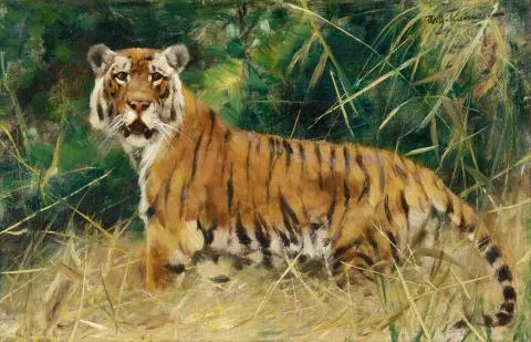 Friedrich Wilhelm Kuhnert — Tigre