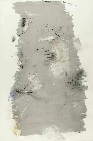 Marco Gastini — D'après les natures, 1993