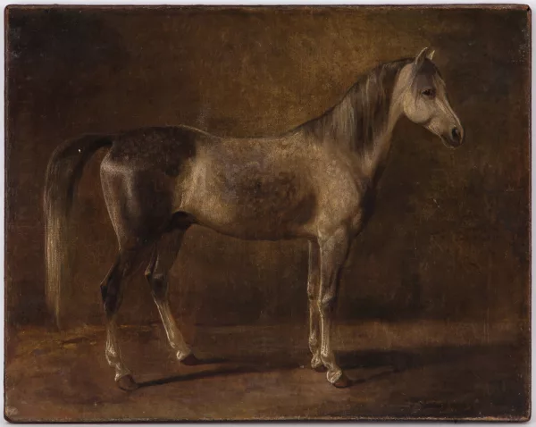 F. Sigmund Lachenwitz — , Cheval au box