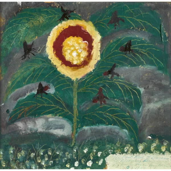 James Dixon — "The Last Rose of Summer".
