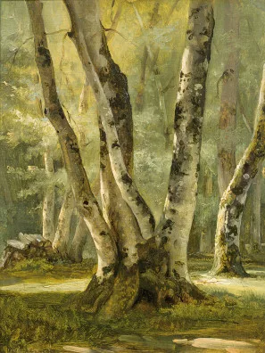 Antoine Chintreuil — Etude de bouleau