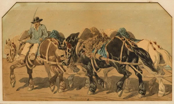 Théodore Fort — Attribué à Théodore Fort — Cheval de trait à l'étable et chevaux de trait attelés