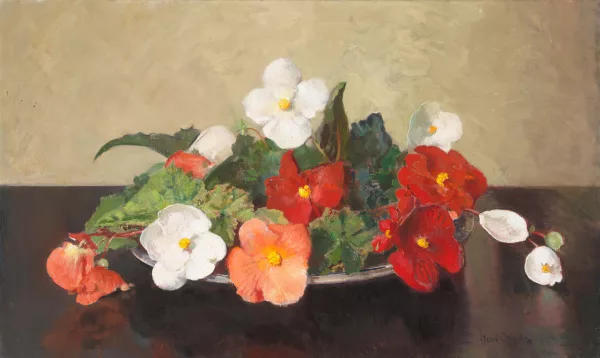 Frans David Oerder — Begonien