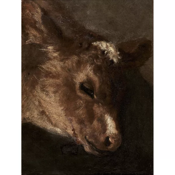 Eugène Delacroix — Kalbskopf.