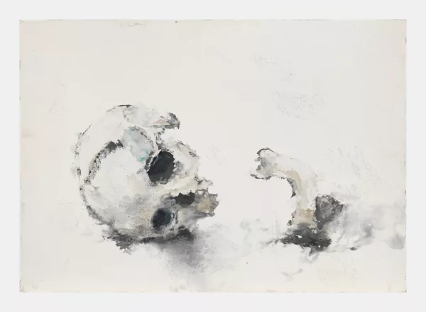 Philippe Cognee — Vanitas (2006)