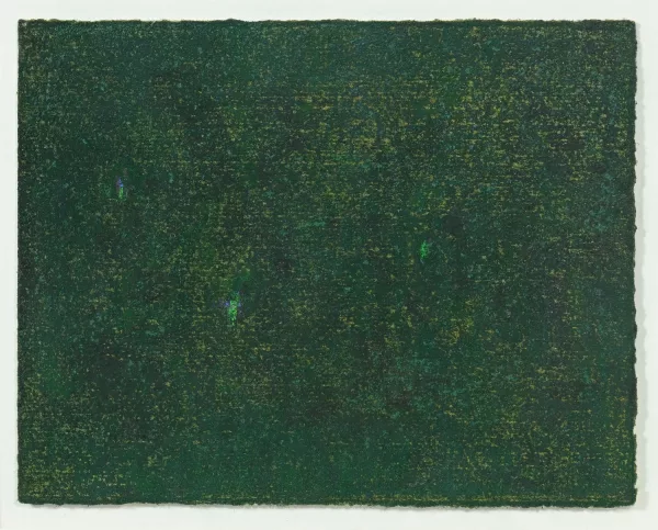 Julia Fish — "Study for Twilight"