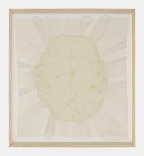 Jaume Plensa — Plensa (1997)