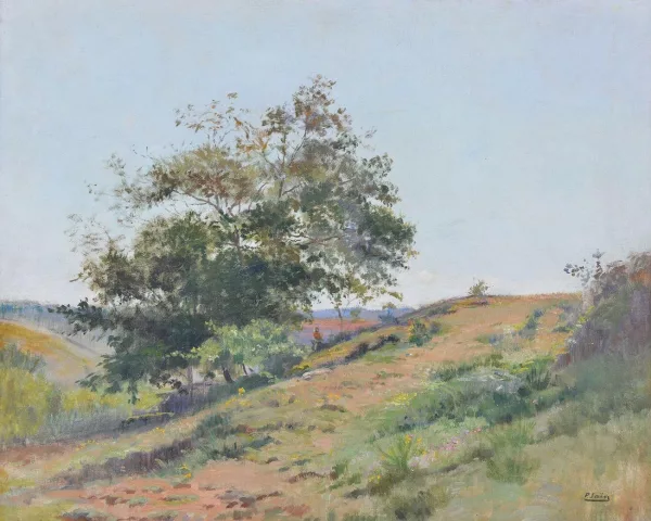 Paul Saïn — Grove in the countryside