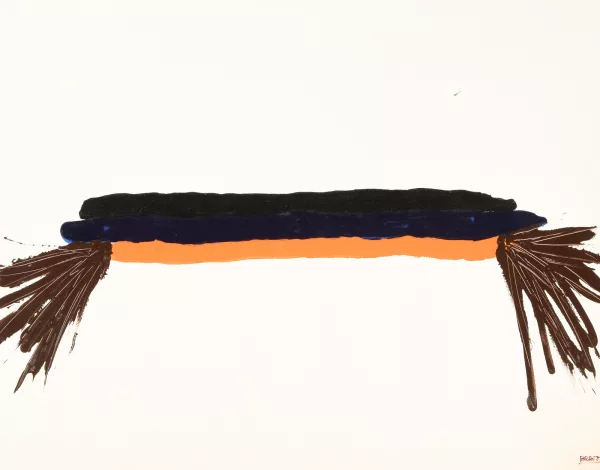 Joaquim Bravo — Ohne Titel