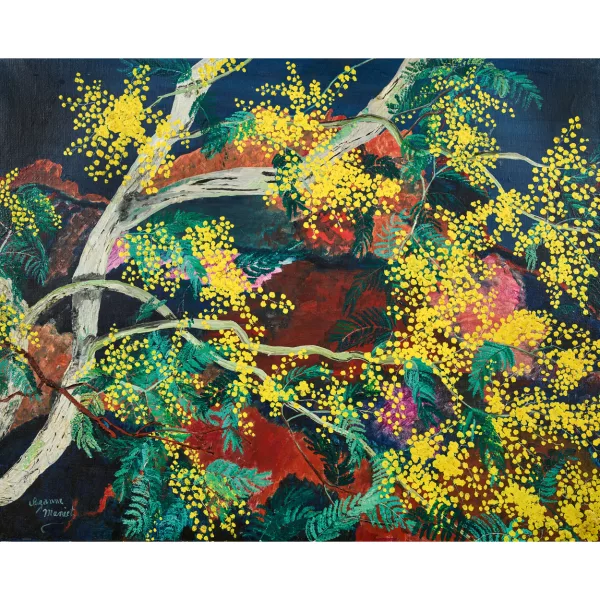 Suzanne Maniet — "Mimosas".