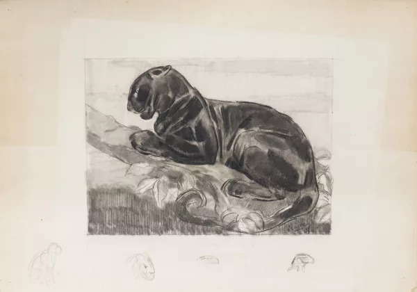 Paul Jouve — Paul JOUVE (1878-1973) , Panthère branchée, fusain sur papier