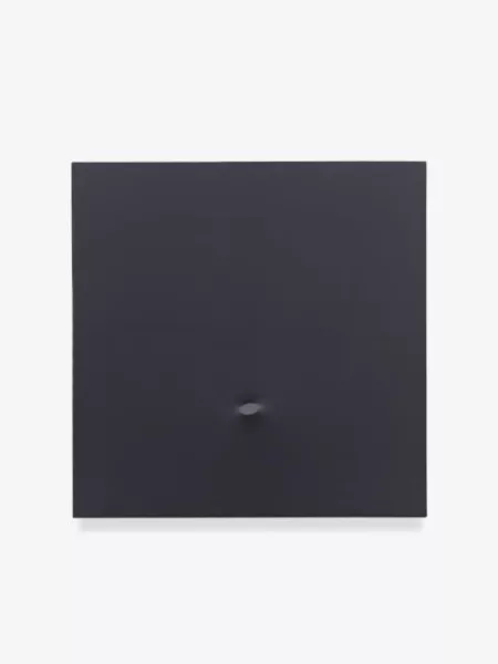 Turi Simeti — Un ovale nero