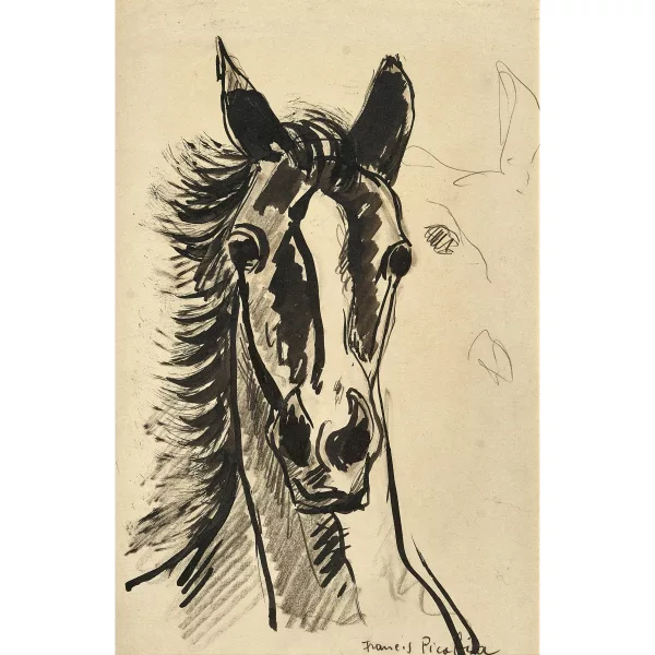 فرانسيس بيكابيا — Tête de cheval.