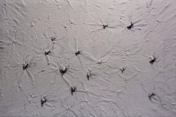 Miquel Barceló — Huîtres I, 1988